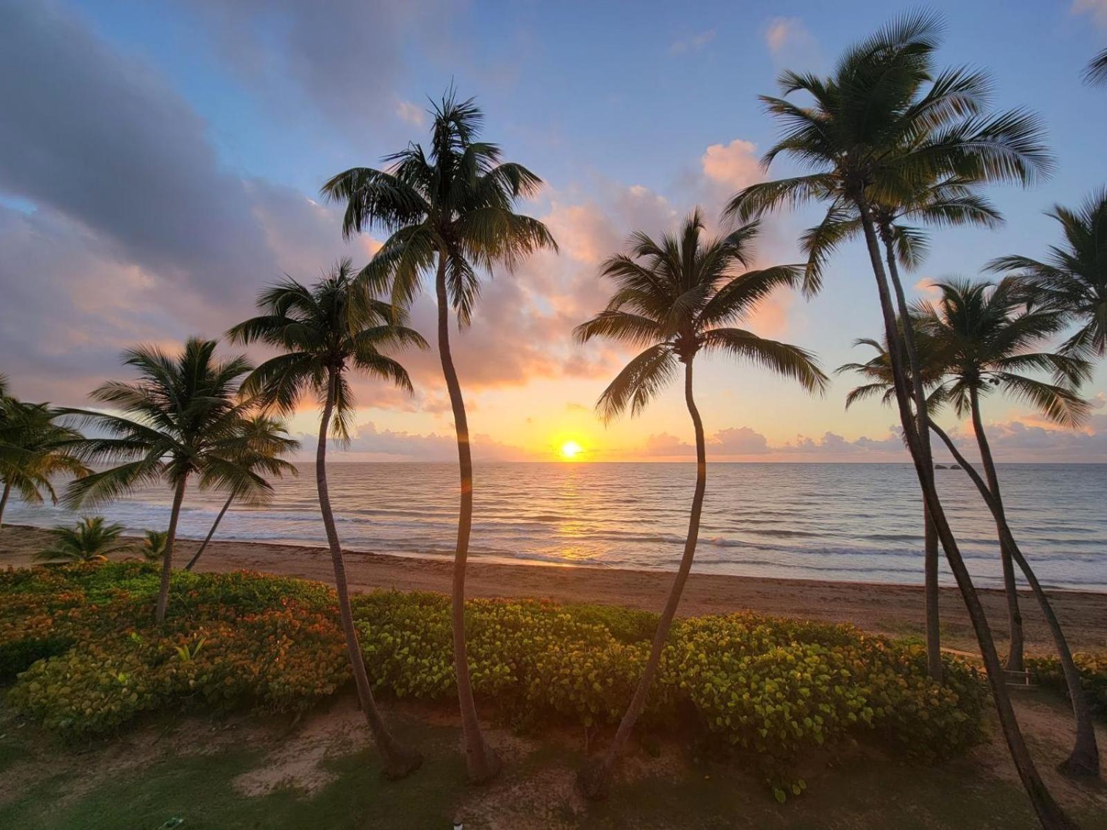 Bv103 - Amazing Oceanfront Condo Steps From Beach Humacao Eksteriør billede
